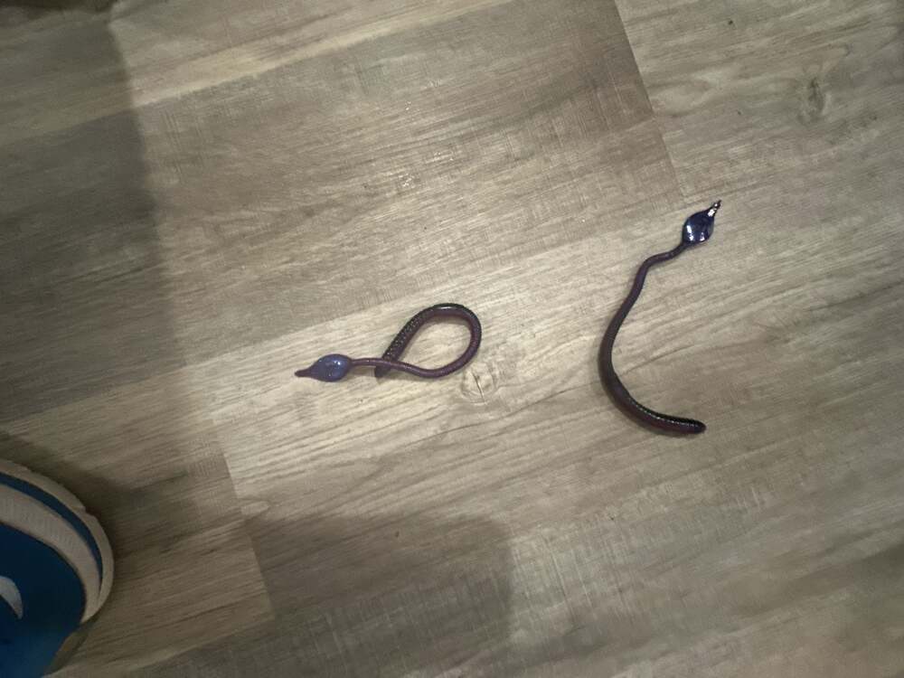 Vintage Mann’s Orginal jelly worm Purple